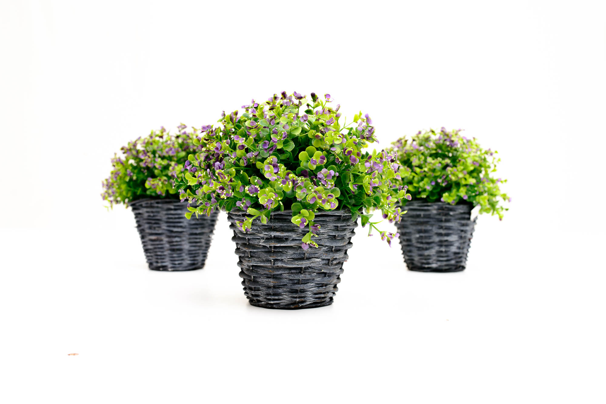 Flower pots